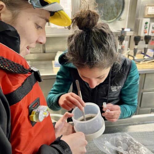 Talia Davis (left) and Rachel Kaplan pick through a filter to find krill