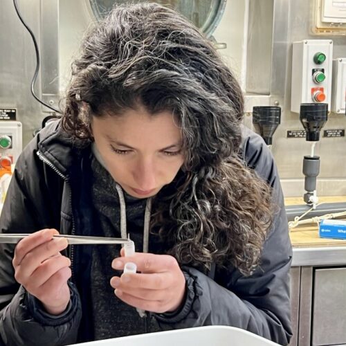 Scientist Rachel Kaplan collects krill to study later