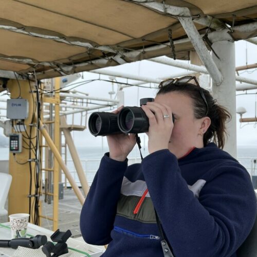 Scientist Clara Bird scans the horizon for any signs of whales