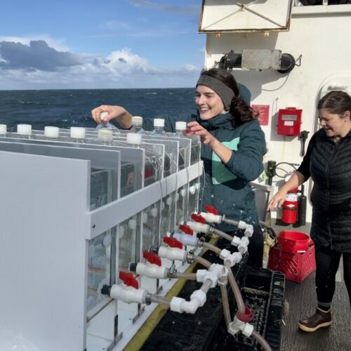 Rebecca Smoak, a graduate researcher at Oregon State University, and Maria Kavanaugh, an assistant professor at OSU, place plastic Nalgene bottles in an incubator to grow phytoplankton on the Bell M. Shimada, a National Oceanic and Atmospheric Administration research vessel