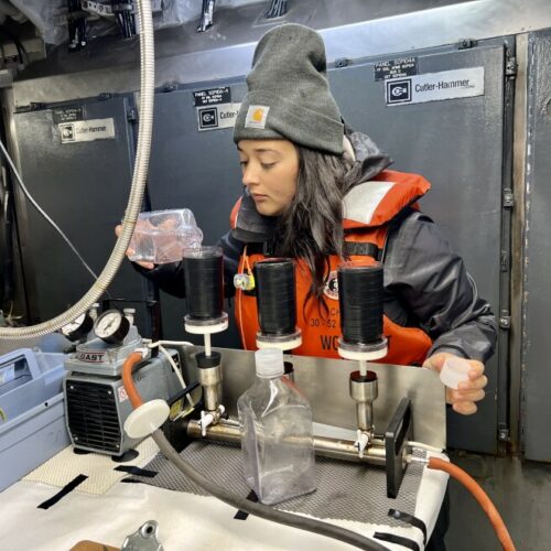 Aliya Jamil, a graduate researcher at Oregon State University, filters water for a phytoplankton experiment