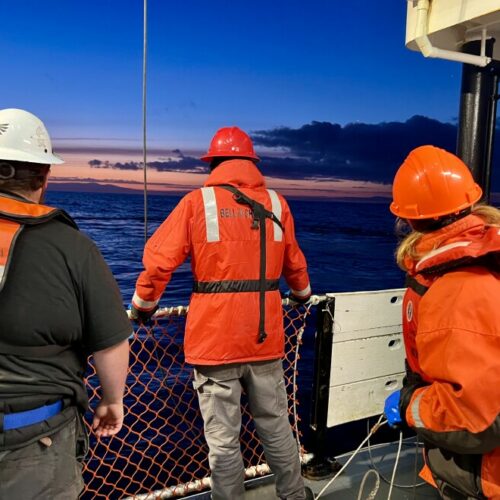 Crew members watch as a winch operator pulls a net up from the ocean