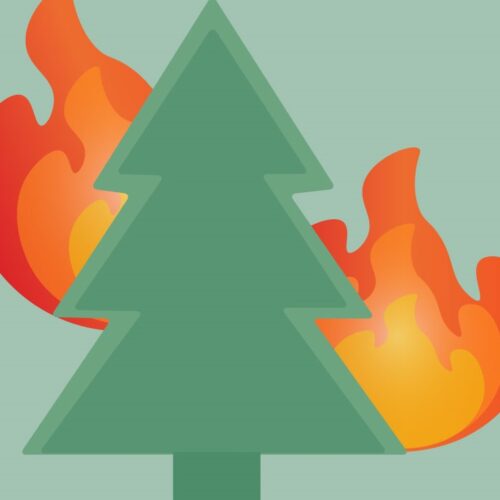 Graphic of green tree with flames surrounding it.