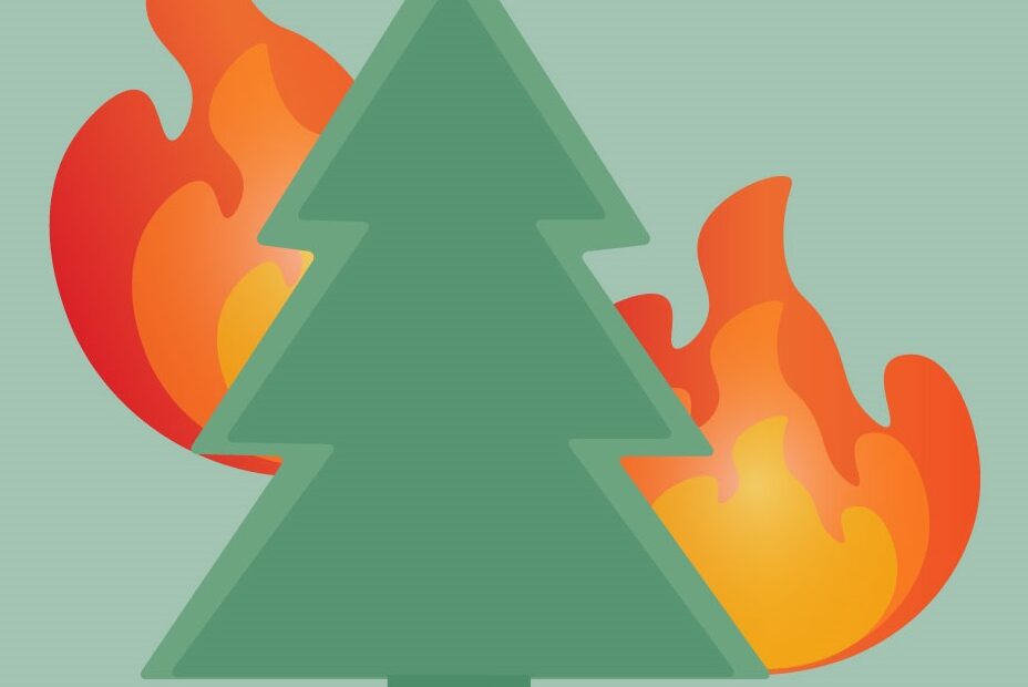 Graphic of green tree with flames surrounding it.