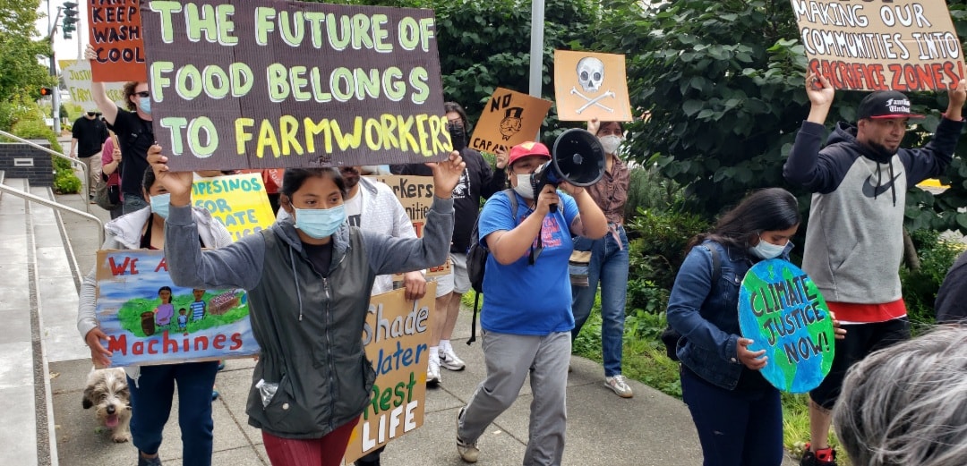 Farmworkers in Olympia WA. August 2022