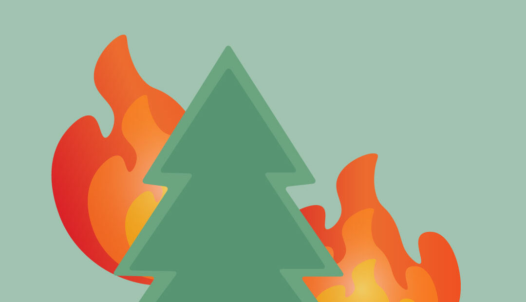 Colored graphic of a tree with flames surrounding it.