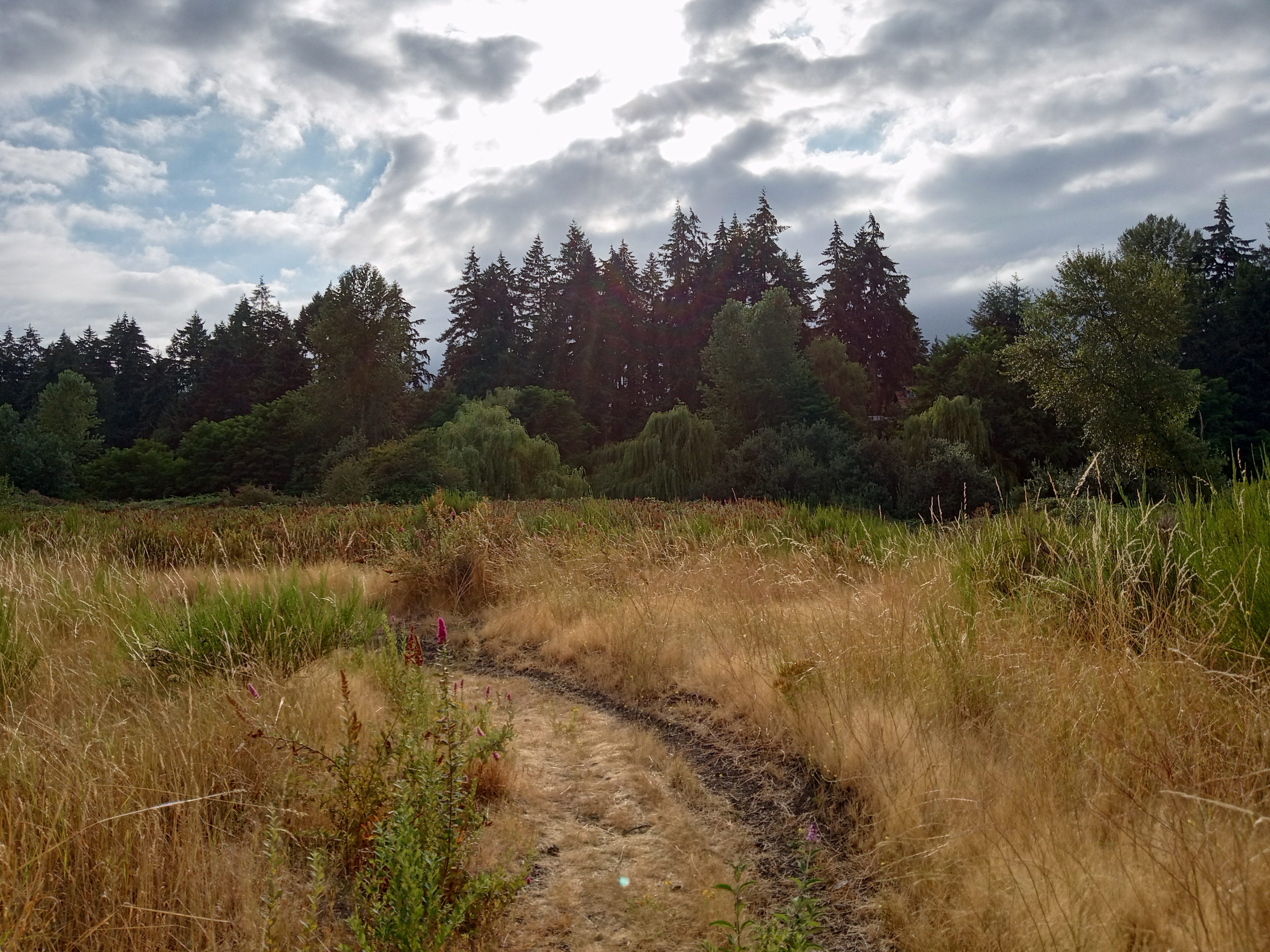 The site where Bridge Industrial has proposed building a warehouse in South Tacoma. Photo courtesy of Michelle Mood.