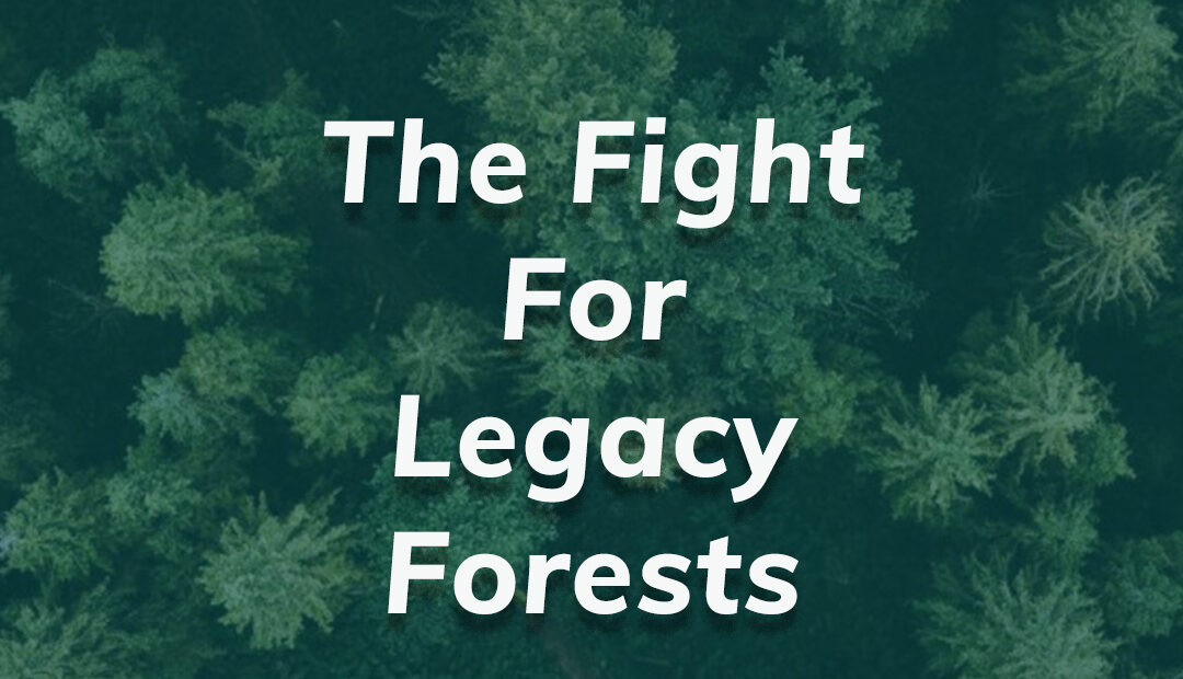 the fight for legacy forests