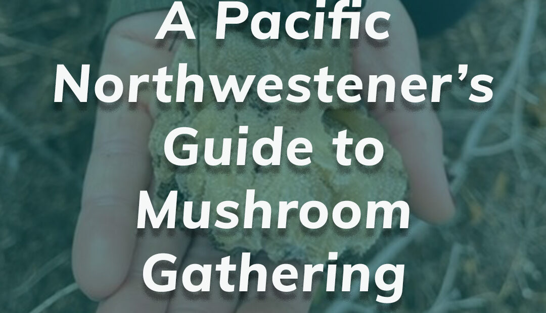 a pacific northwesterner's guide to mushroom gathering