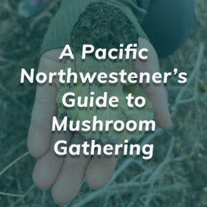 a pacific northwesterner's guide to mushroom gathering