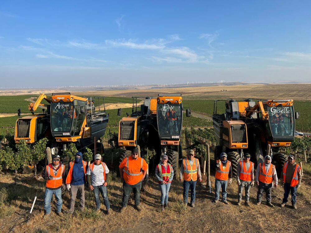 Men and women in orange vests stand in front of three harvesting machines against a chardonnay vineyard and blue sky.