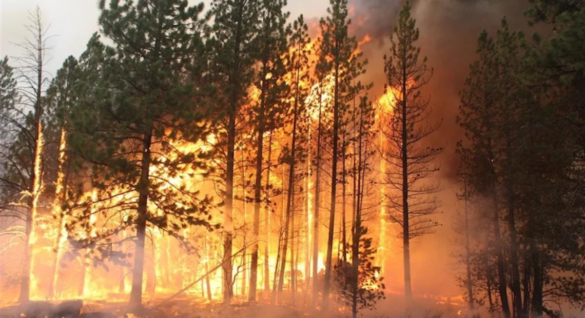 A new climate assessment website could help communities better understand their chance of facing climate risks, such as wildfires.