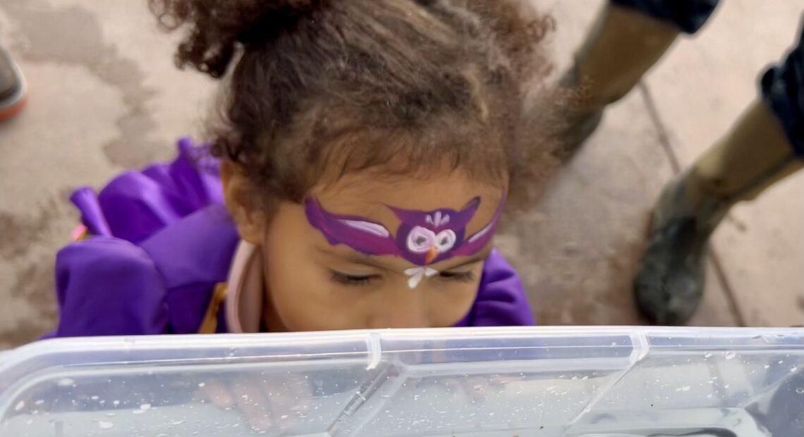 A little girl in a purple princess dress with purple owl face paint looks in a clear plastic tub with small lamprey.