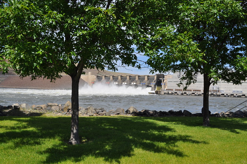 Two trees in green grass in front of a river. The river is running through a hydroelectric dam.