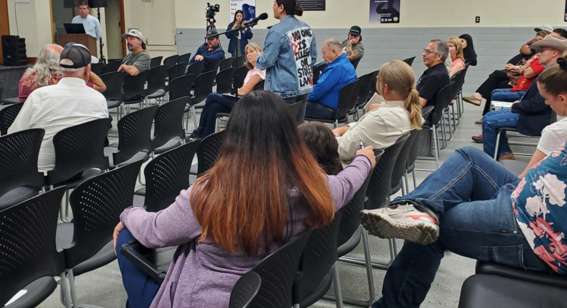 group of people listening to a woman speaking