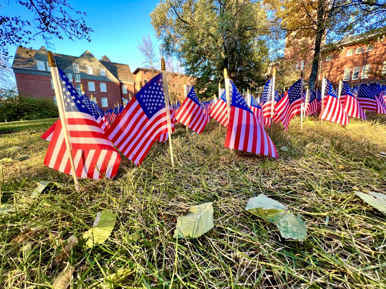 Flags placed near the Veterans Memorial near the WSU campus.