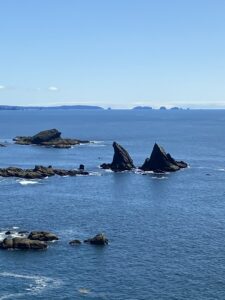 Neah Bay, Washington, where the Makah Tribe resides. Photo courtesy of Timothy Greene. 