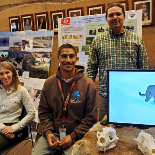 a white woman and two Native men sitting behind a display of skulls