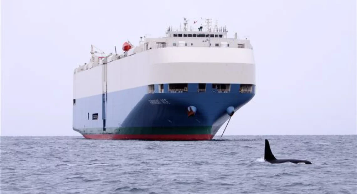 A way to prevent large ships from striking and killing whales is to transmit alerts to the officers at the helm when whales are nearby.