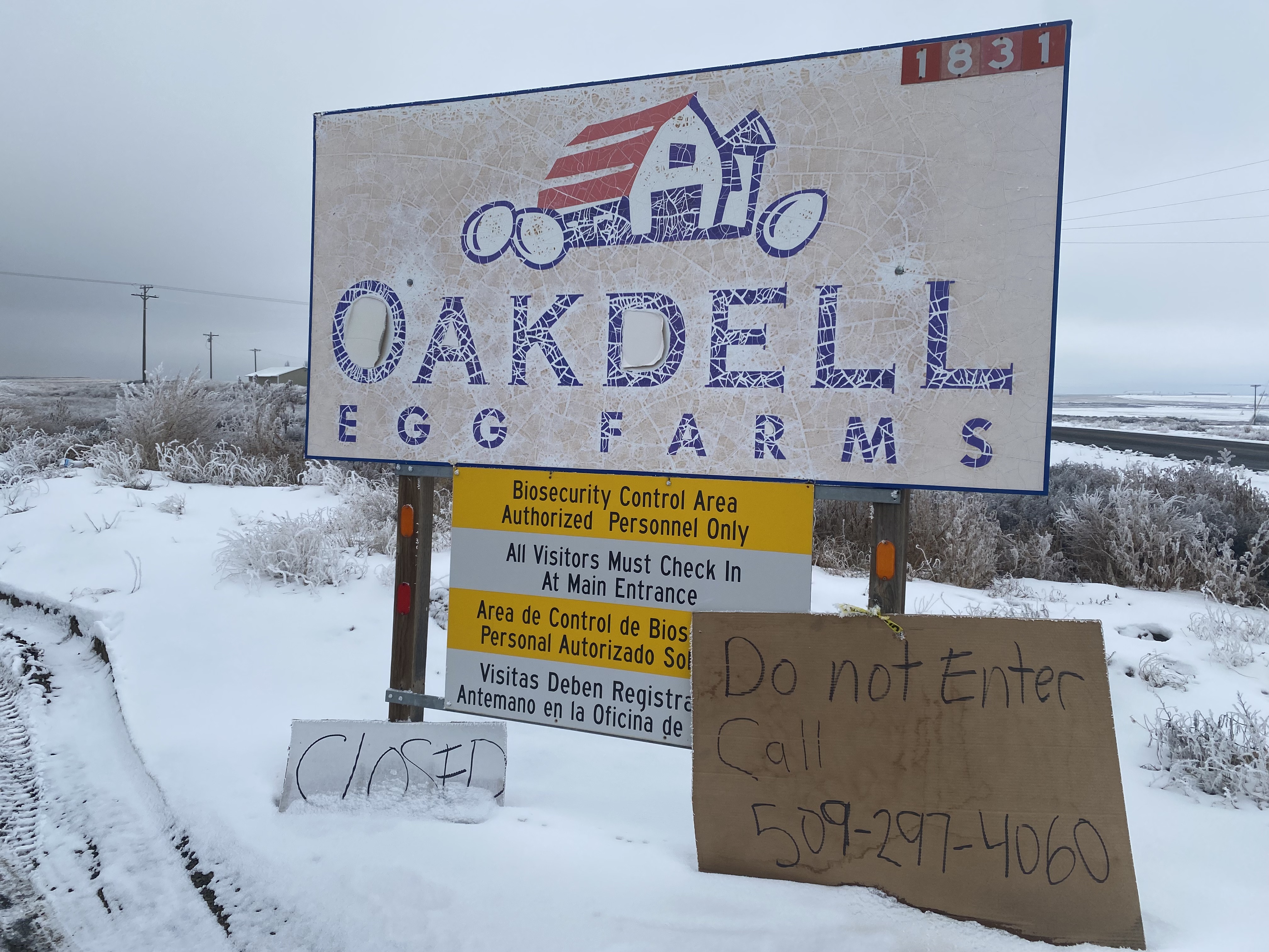 A sign that says Oakdell egg farm is surrounded by snow.