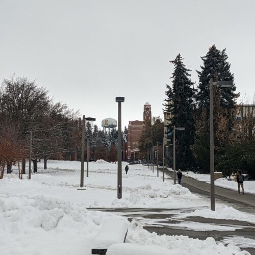 University of Idaho students walk up a sidewalk from the distance between fields of snow. Buildings and dark green trees line the horizon.