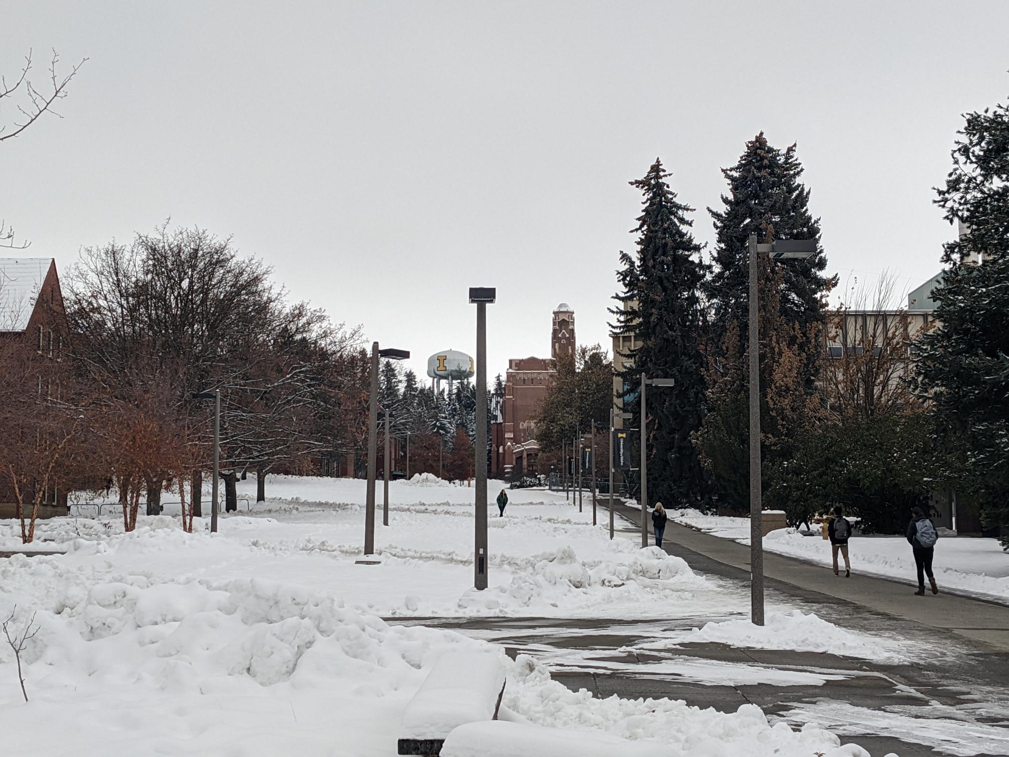 University of Idaho students walk up a sidewalk from the distance between fields of snow. Buildings and dark green trees line the horizon.