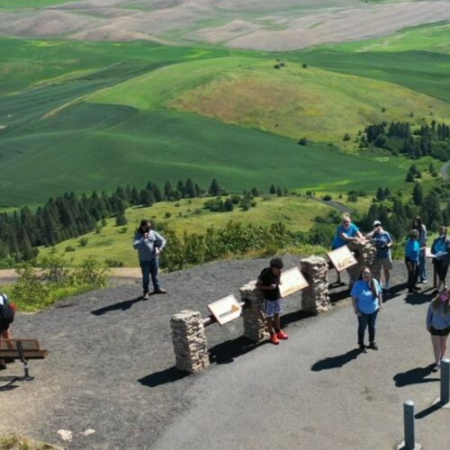 Students stand overlooking green hills and trees.