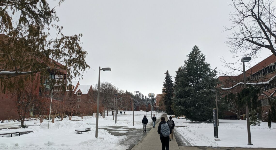 Students with backpacks walk along a sidewalk with snow on either side on the University of Idaho campus.