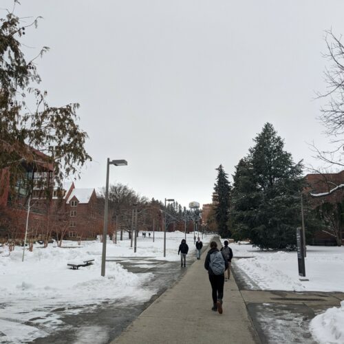 Students with backpacks walk along a sidewalk with snow on either side on the University of Idaho campus.
