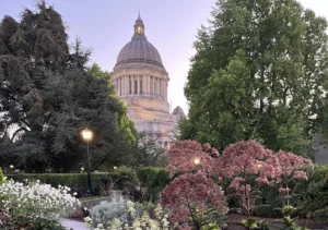 The flowers in the Washington State Capitol's sunken garden will be back in bloom by the time the 2023 Washington legislative session wraps up in April. The session starts Monday, January 9