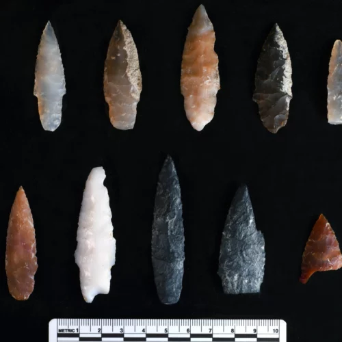 Stone projectile points discovered buried inside and outside of pit features at the Cooper’s Ferry site.