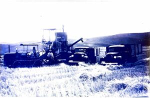 wheat harvest 1940's