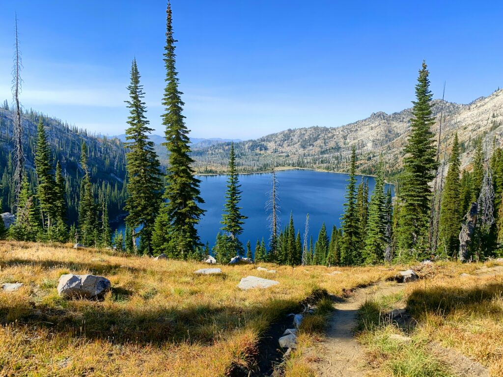 Green trees spring up from the yellow grass as a blue lake framed by mountains can be seen in the distance.