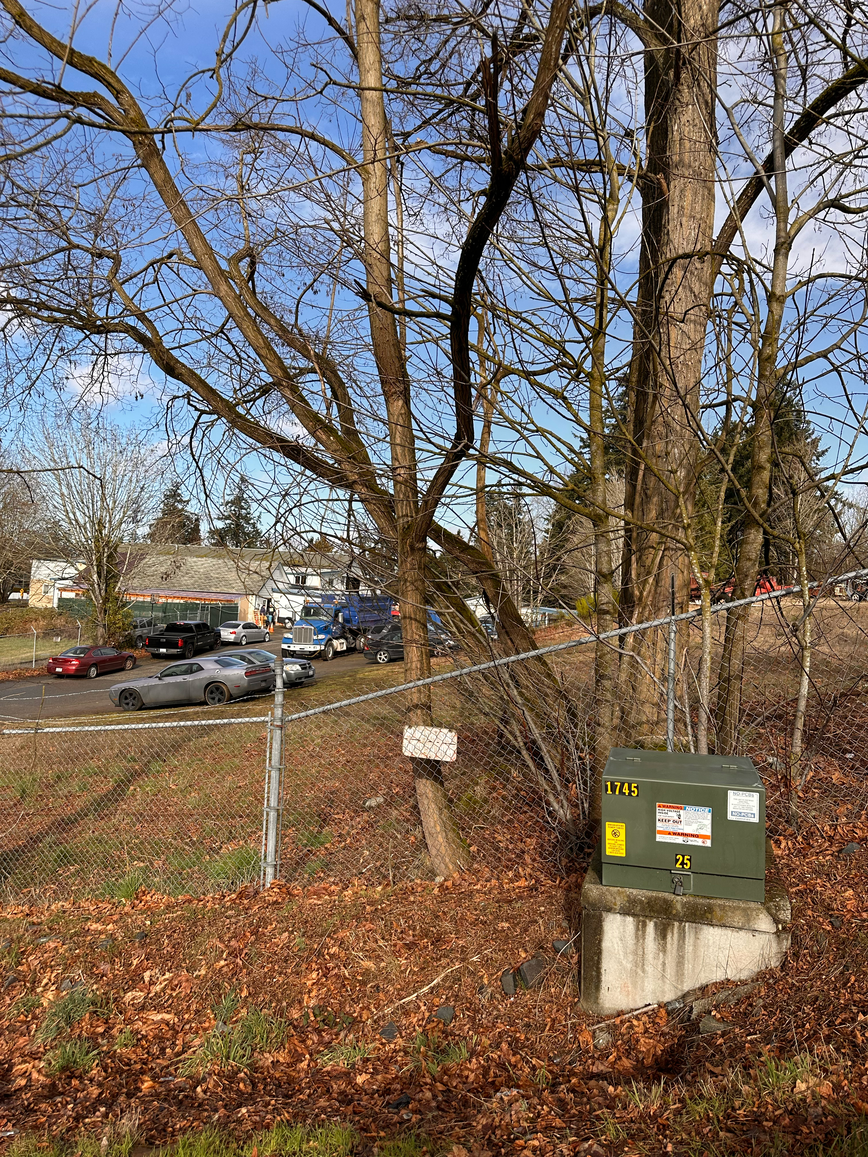 A green cable box sits atop grass covered with brown and orange leaves under a barren tree. 