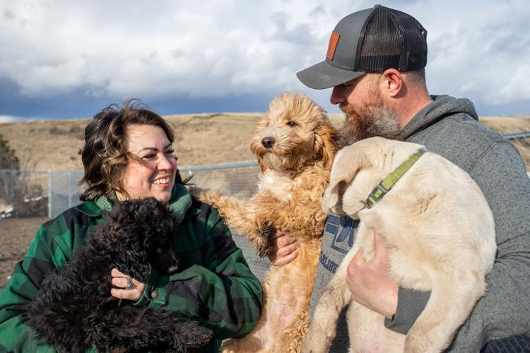 On the left, a woman with short dark hair and light skin smiles toward a man on her right. She wears a green plaid jacket and is holding a black, fluffy dog. The man to her right is taller, wearing a grey trucker hat and sweatshirt. He holds a golden, curly-haired dog in his left arm and a light brown puppy in his right. They stand in front of a grassy, brown rolling hill with a chain-link fence. The sky is cloudy and bright above them.