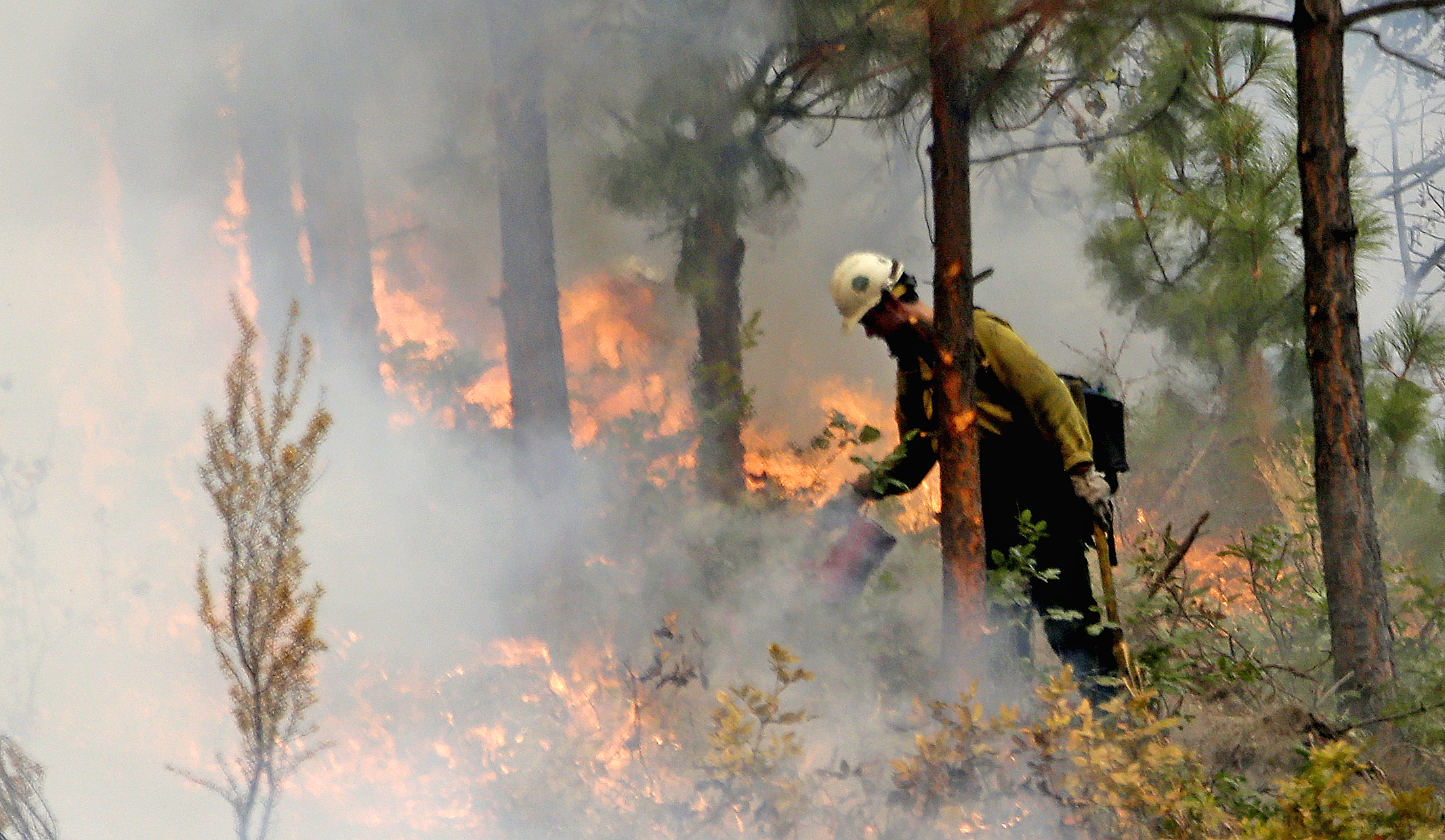 A firefighter with a yellow helmet near trees douses bright orange flames with a red water can.