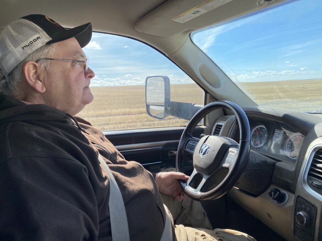 Chris Herron drives his pickup truck through fields of young wheat. 