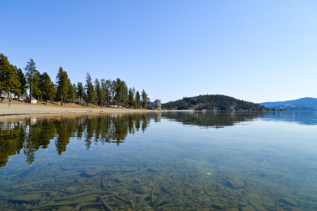 Blue water is surrounded by hills covered with trees and a sandy beach against a backdrop of evergreen trees.