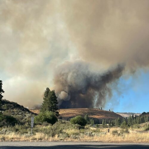 A plume of smoke rises above a yellow field flanked by three evergreen trees against a blue sky.