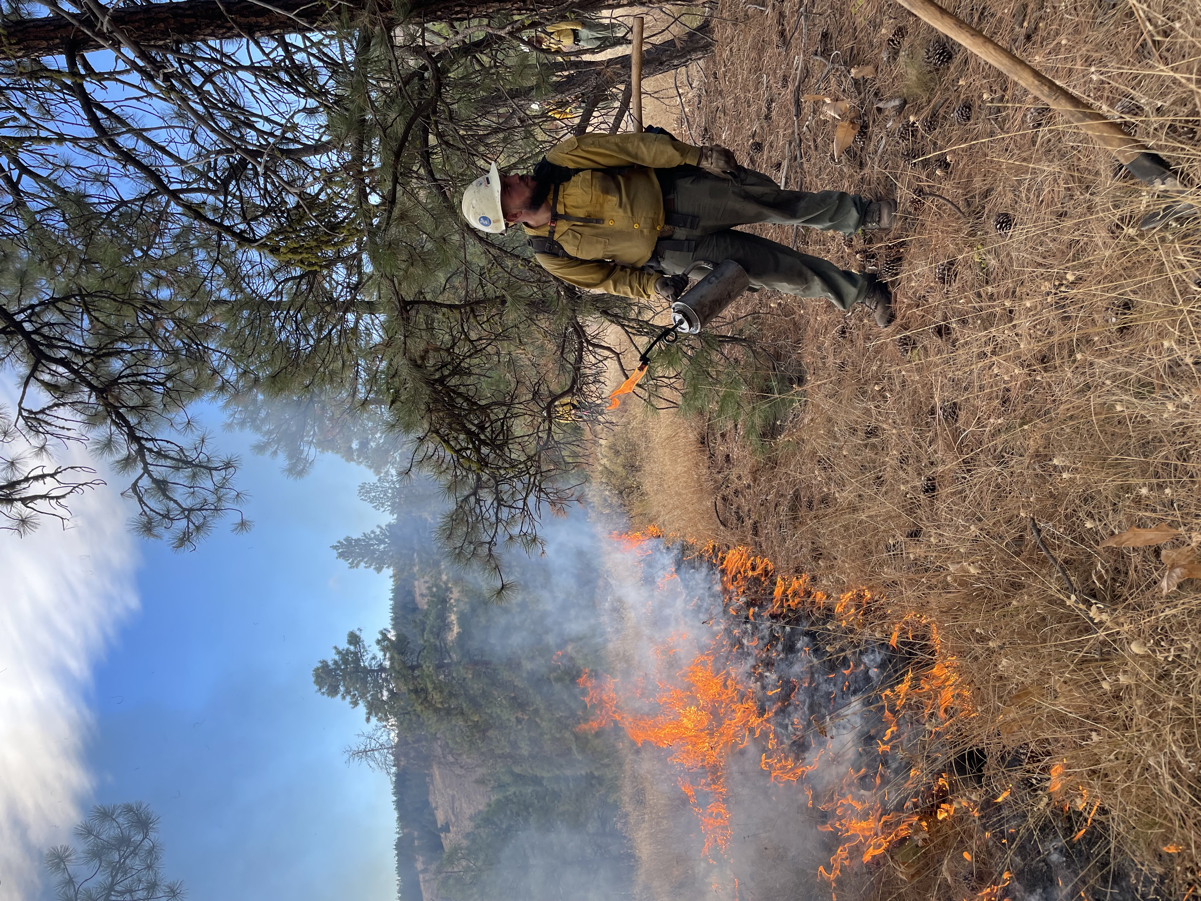 A crew member holds a drip torch as the team burns a fire line during the Washington State Department of Natural Resources' controlled burn near Naches, Washington. Photo courtesy of DNR Communications. 