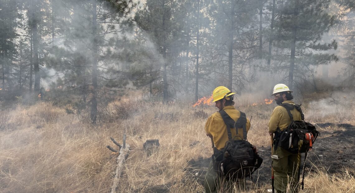 Firefighters with the Washington State Department of Natural Resources conducted a controlled burn in Cougar Canyon near Naches, Washington last fall. Photo courtesy of DNR Communications.