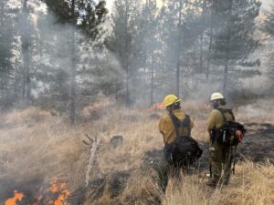 Firefighters with the Washington State Department of Natural Resources conducted a controlled burn in Cougar Canyon near Naches, Washington last fall. Photo courtesy of DNR Communications.