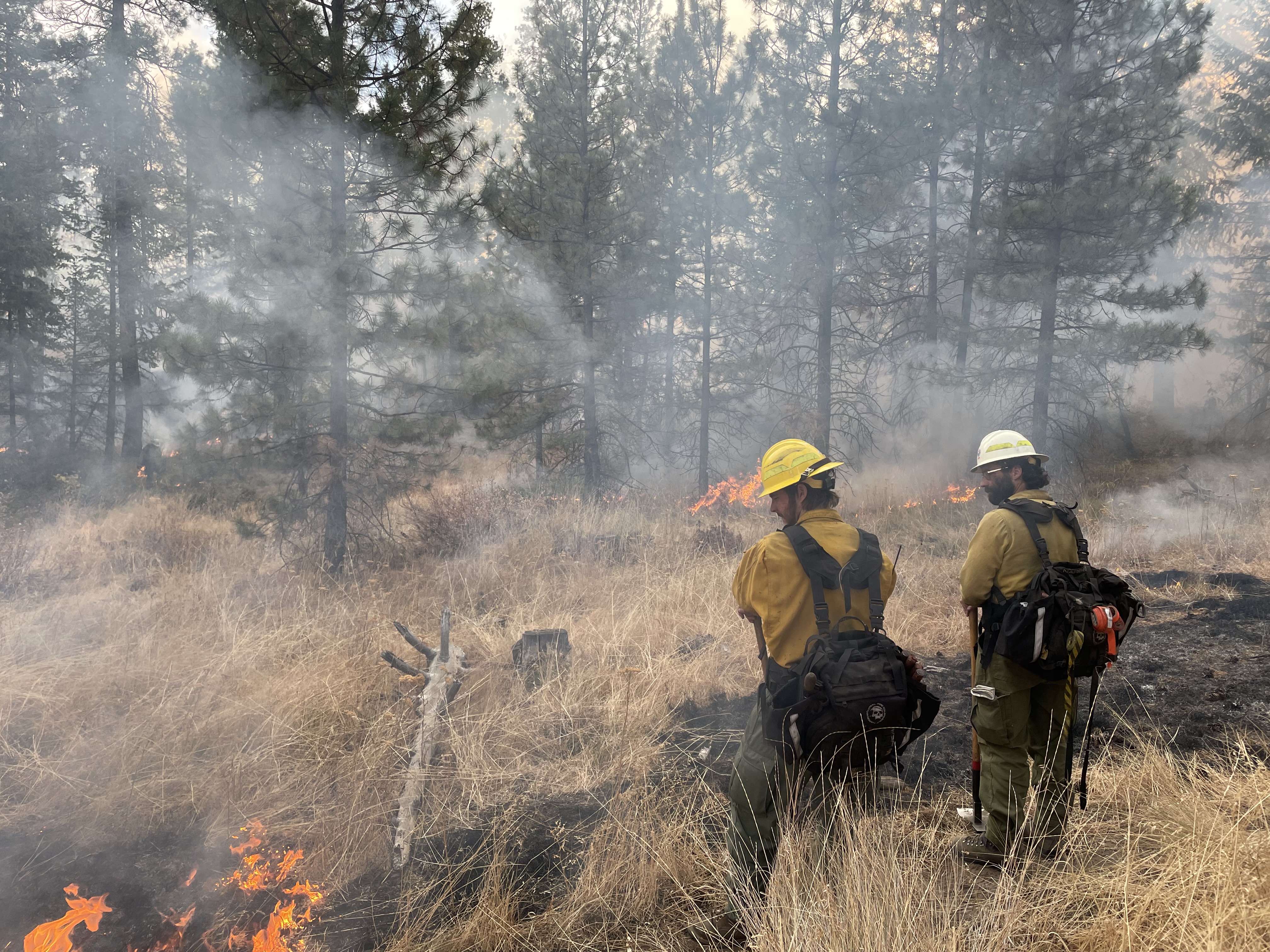 Firefighters with the Washington State Department of Natural Resources conducted a controlled burn in Cougar Canyon near Naches, Washington last fall. Photo courtesy of DNR Communications.