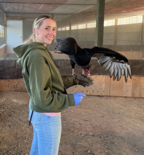 A blonde girl with blue jeans and a green sweatshirt stands sideways to the camera with a black turkey vulture perched on her wrist. 