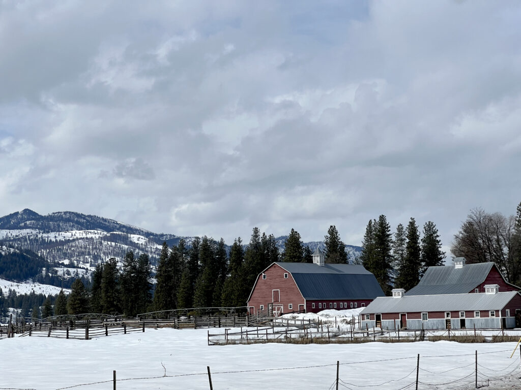 A red barn and two other red buildings sit in the snow. There are evergreen trees behind the red barn. A snowy hill is in the background. The sky is gray and overcast.