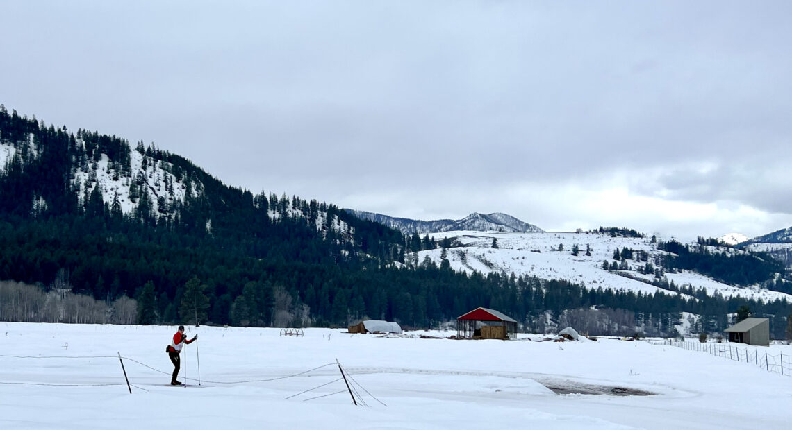 A skier in a red and white jacket and black pants skis on a trail covered in snow. The field is covered in snow. There is a red building in the middle-distance with hay under it and a gray building across the trail. The background has snowy hills with evergreen trees on them.