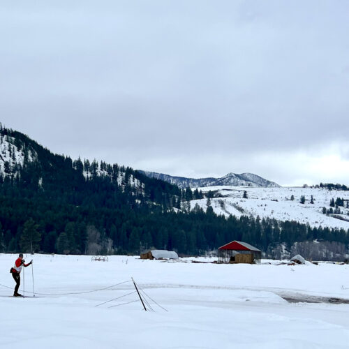 A skier in a red and white jacket and black pants skis on a trail covered in snow. The field is covered in snow. There is a red building in the middle-distance with hay under it and a gray building across the trail. The background has snowy hills with evergreen trees on them.