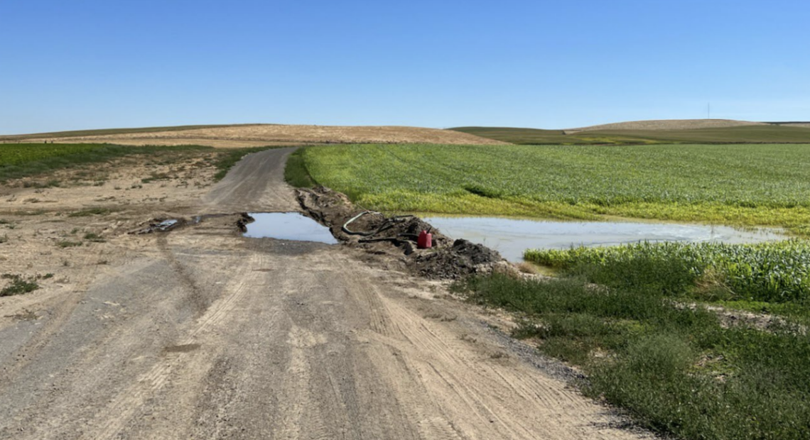 Dirt road under bright blue sky.