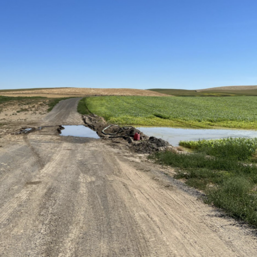 Dirt road under bright blue sky.