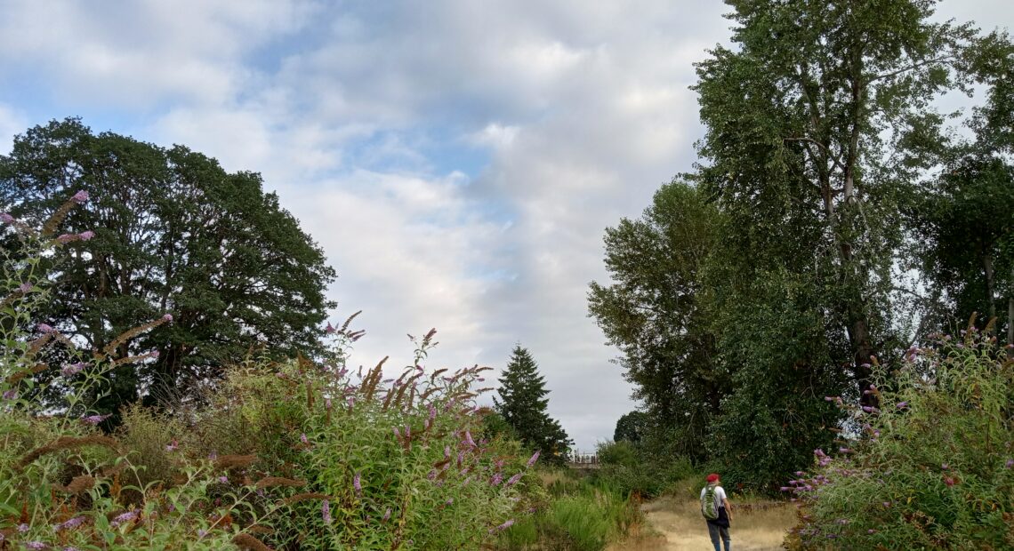 The property where a 2.5 million square-foot warehouse is being proposed in South Tacoma. Photo courtesy of Michelle Mood.